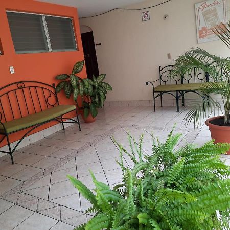Green Monkey Hostel Flores Buitenkant foto