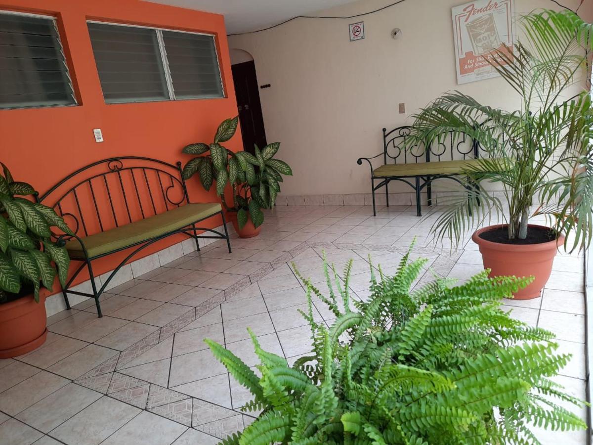 Green Monkey Hostel Flores Buitenkant foto